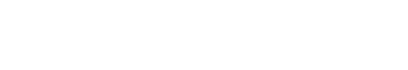 Virgio Tech